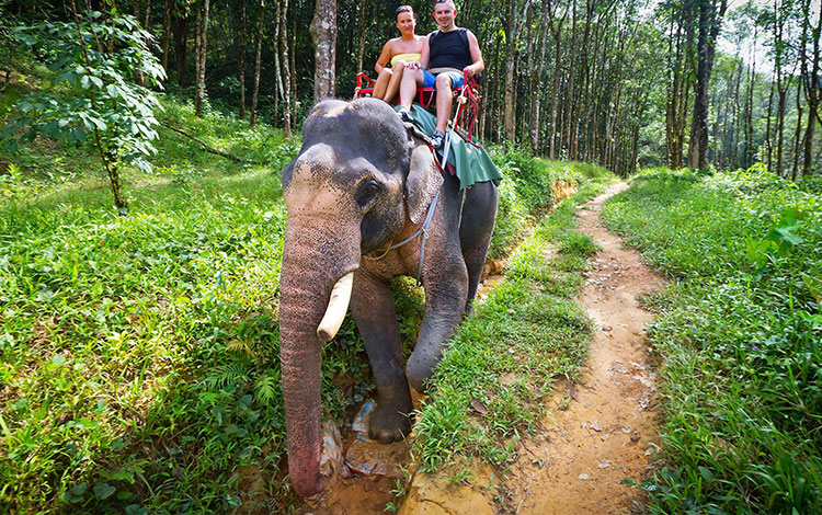 khao lak safari day tour