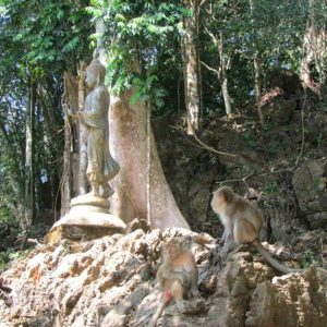 Khao Sok Lake explorer Safari 2 Days 1 Night at the monkey cave