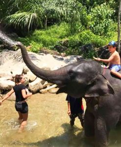 Khao Sok Safari Day Tour - Phuket