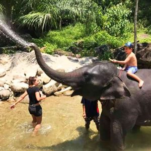 Khao Sok Safari Day Tour - Phuket