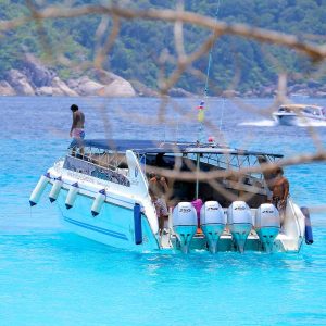 Phi Phi Island by Private speedboat. Tour with 4-engine Private speedboat
