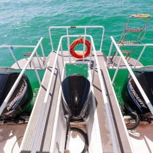 Exclusive Phi Phi island Speed Catamaran tour easy access