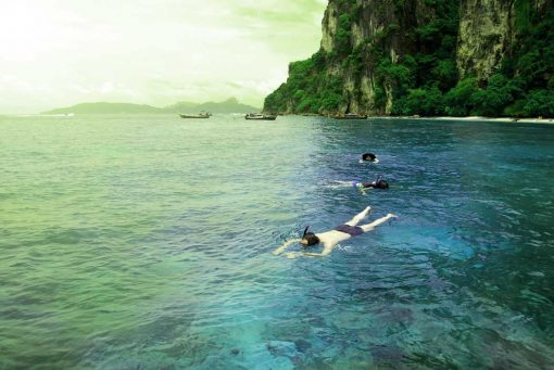 Best Phi Phi island tour from Krabi