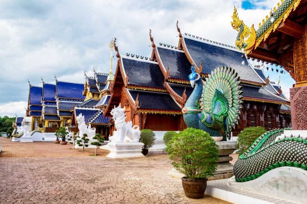 Elephant care Blue Temple tour Chiang Mai