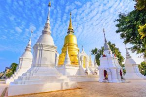 Wat Suan Dok temple tour