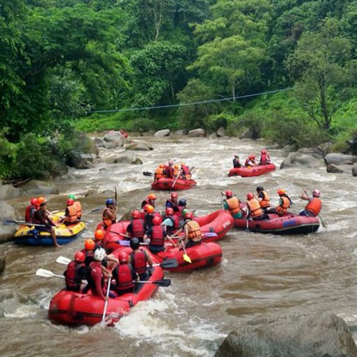 White water rafting elephant care Chiang Mai