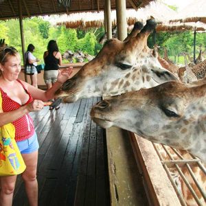 Safari world tour with Marine Park and Lunch from Bangkok