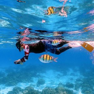 Maiton island Raya islands tour - Amazing Underwater Snorkeling with Tropical Fish
