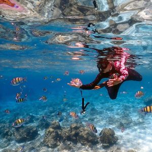 Maiton island Raya islands tour - Swimming with Sergeant Major Fish in Paradise