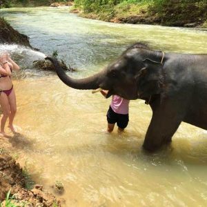 Phang Nga tour Elephant experience from Phuket