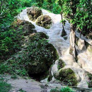 Doi Suthep Sticky Waterfalls tour