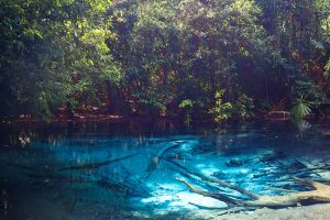 All You need to know about Krabi Emerald Pool