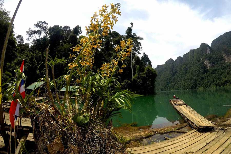 A guide to Khao Sok Natural Park