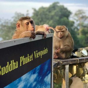 Phuket tours