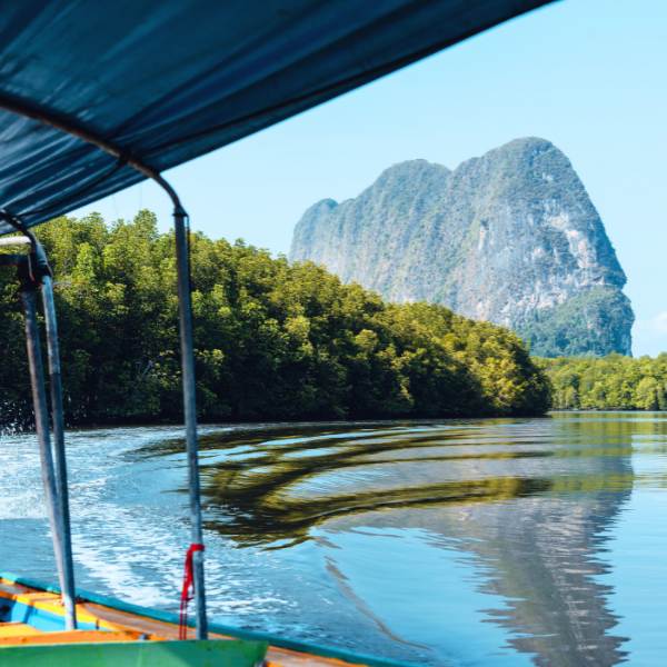 Private Longtail Boat Tour to James Bond Island - Views of the forest