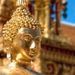 You should visit Doi Suthep in the morning - Private Doi Suthep Sunrise Experience from Chiang Mai