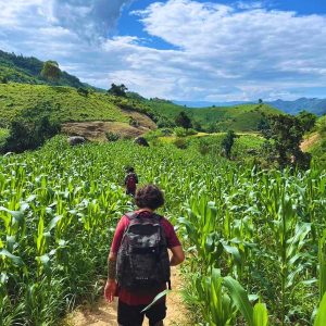 Chiang Rai Jungle Trekking - Your 1 Day Trekking with river Boat Trip and Hill Tribe Visit