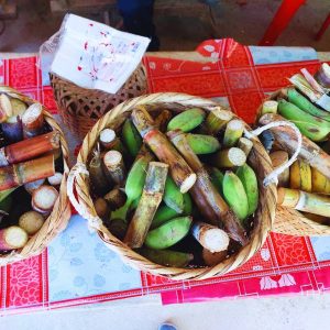 From rubber trees to rushing rivers - every step tells a story on our Private Chiang Rai Jungle Trekking journey