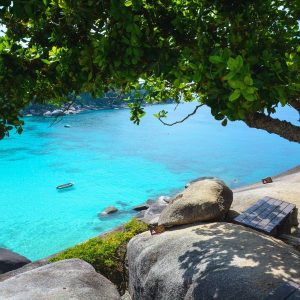 Crystal clear waters make snorkeling super fun! Look at all those colorful fish swimming by