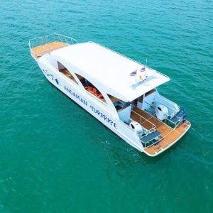 Phuket to Maya Bay and Bamboo Island Tour - Phi Phi Islands Adventure with Surprisingly Comfortable Speed Catamaran (Max 30 Guests)