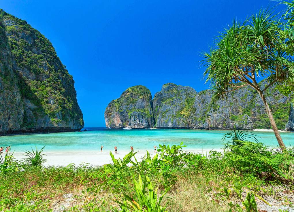Phi Phi Island Tour from Mai Khao - Why Mai Khao Guests Save Thousands - The Hidden Fee Reality