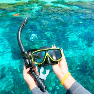 Crystal Clear Adventures - Surin Islands from Phuket Your Gateway to Underwater Paradise