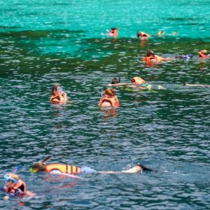 Dive into Wonder - Surin Islands from Phuket Three Premium Snorkel Spots Await