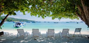 Phi Phi Island Tour from Surin Beach - Save $70 on Phi Phi Island Tour from Surin Beach – Get Premium Tour + VIP Free Pickup + Fees Included for Just $58!